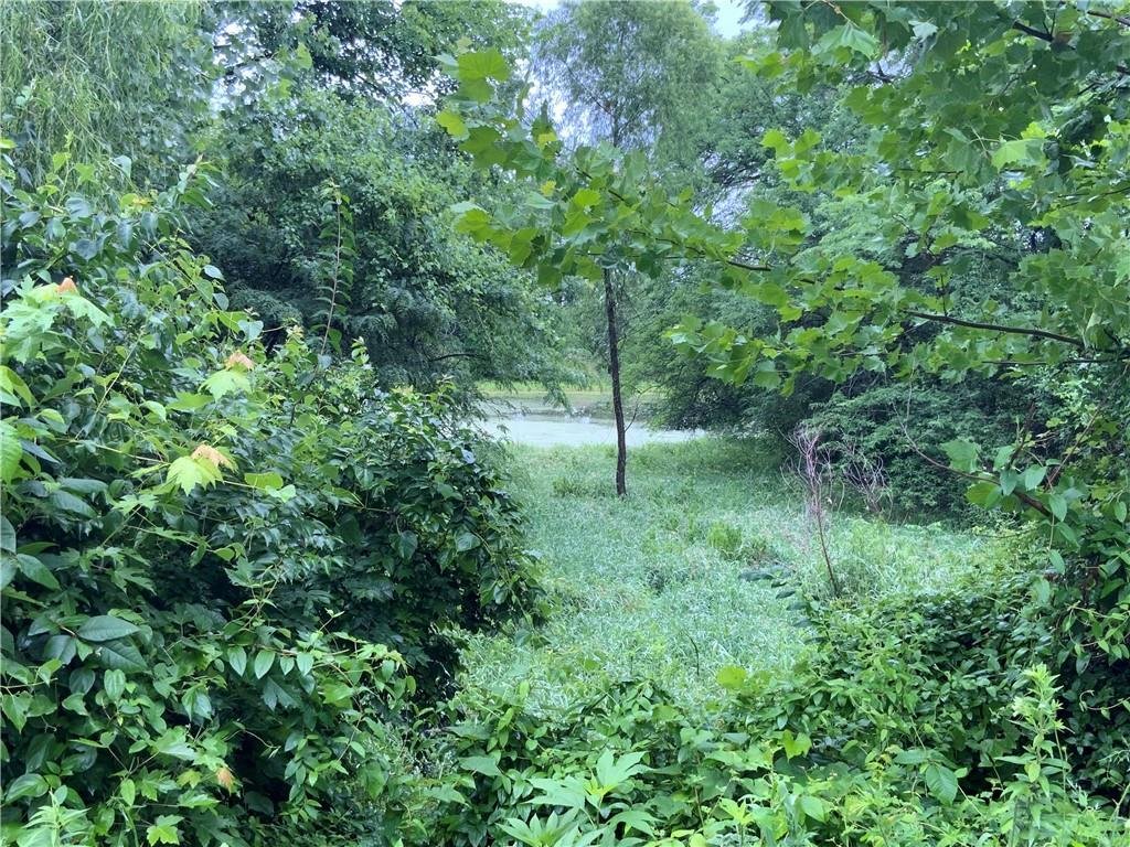 Linwood, Kansas, United States 5 - 18282583