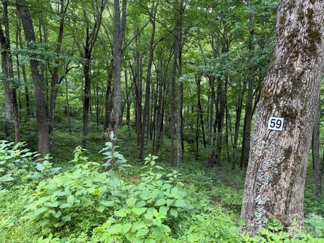 Land in Maggie Valley, North Carolina, United States 5 - 18295970