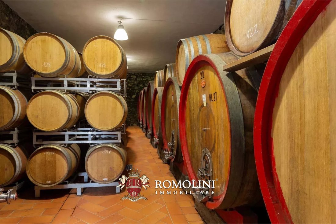 Farm Ranch in Montefioralle, Greve in Chianti, Tuscany 1 - 15663271