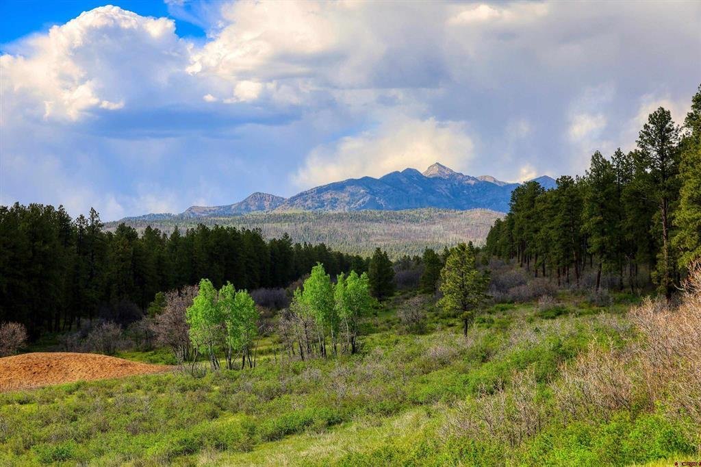 Land in Pagosa Springs, Colorado, United States 1 - 18289229