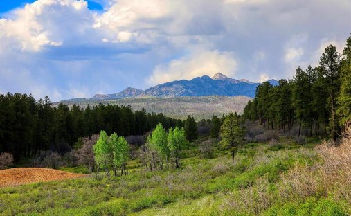 Land in Pagosa Springs, Colorado, United States 1