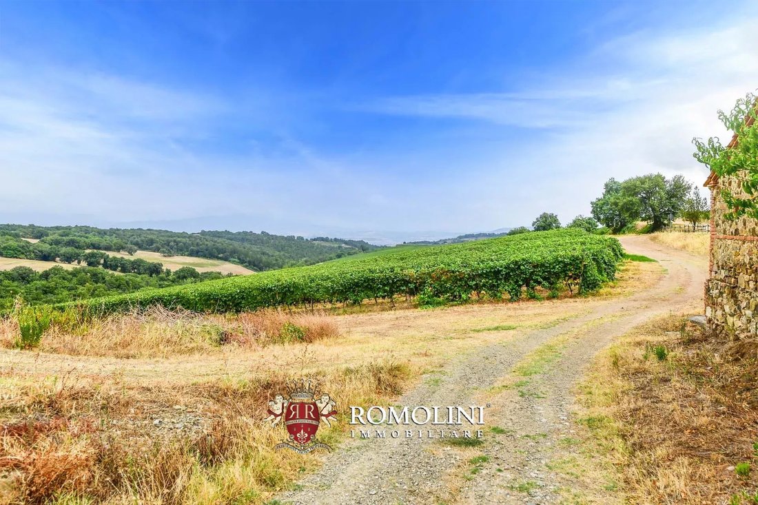 Farm Ranch in Civitella Marittima, Tuscany, Italy 5 - 15663275