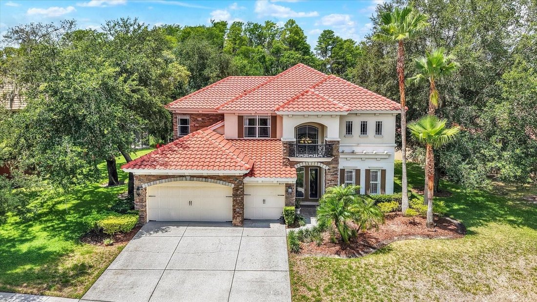 House in New Port Richey, Florida, United States 2 - 18292137