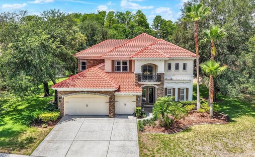 House in New Port Richey, Florida, United States 1