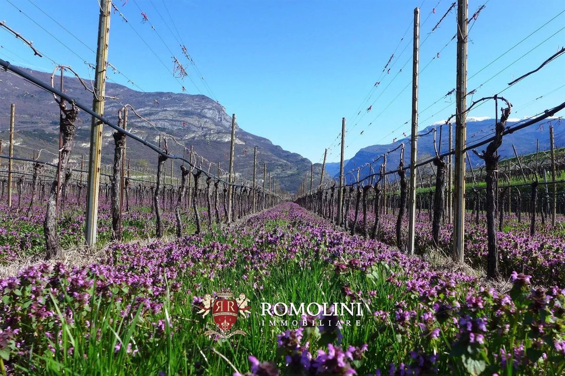 Farm Ranch in South Center, Rovereto, Trentino – Alto Adige/Südtirol 1 - 15663438