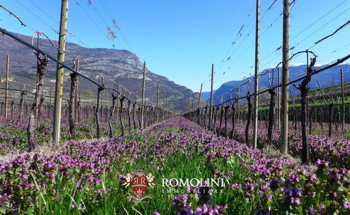 Farm Ranch in South Center, Rovereto, Trentino – Alto Adige/Südtirol 1