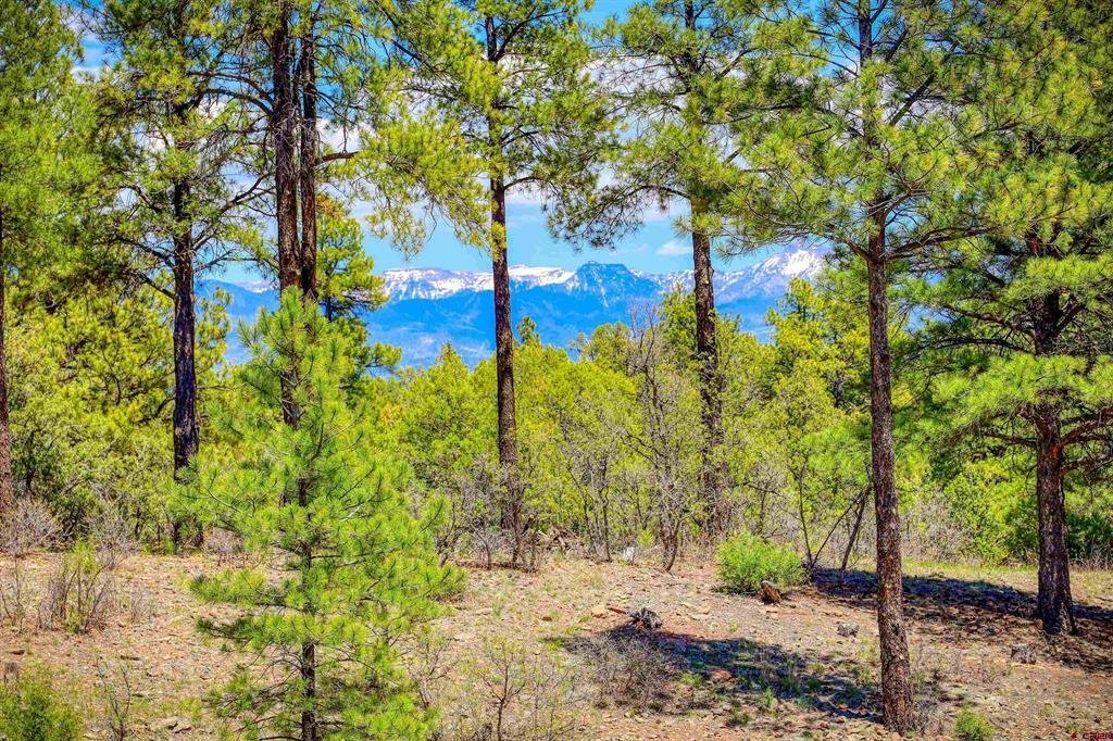 Land in Pagosa Springs, Colorado, United States 3 - 18289229
