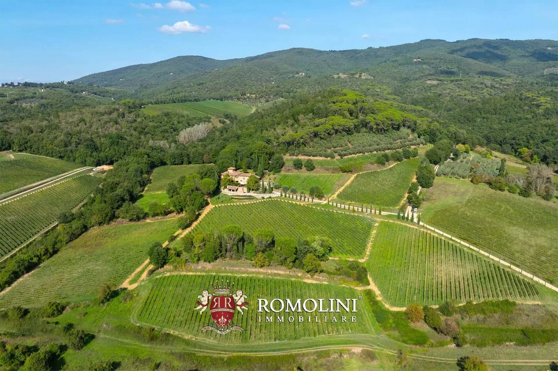 Farm Ranch in Lucolena in Chianti, Greve in Chianti, Tuscany 3 - 15663533