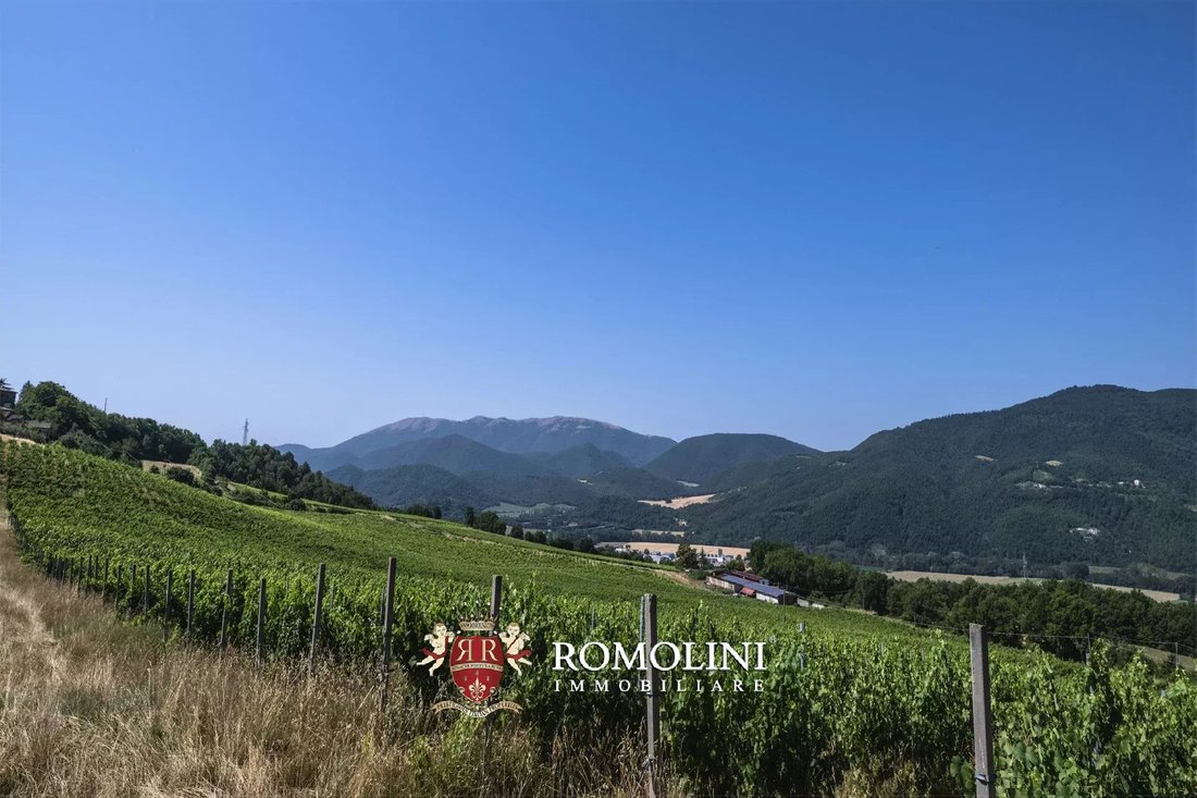 Farm Ranch in Umbertide, Umbria, Italy 1 - 16079805