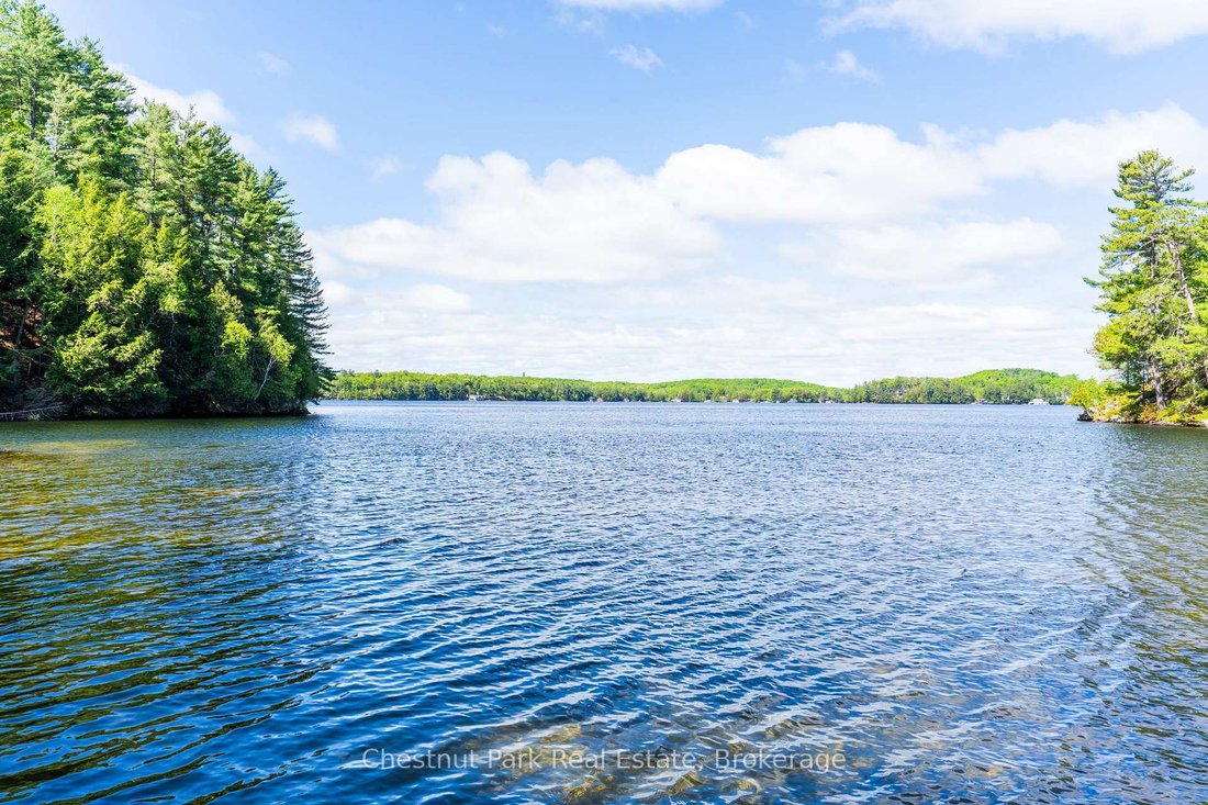 House in Port Carling, Ontario, Canada 4 - 18003977
