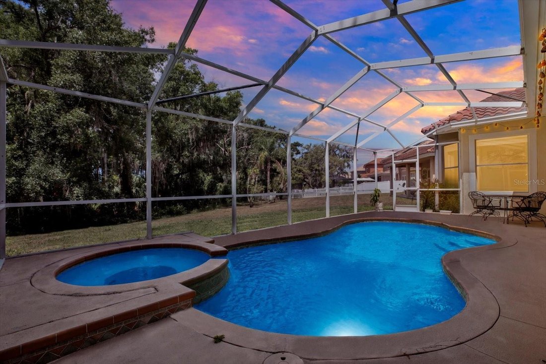 House in New Port Richey, Florida, United States 4 - 18292137