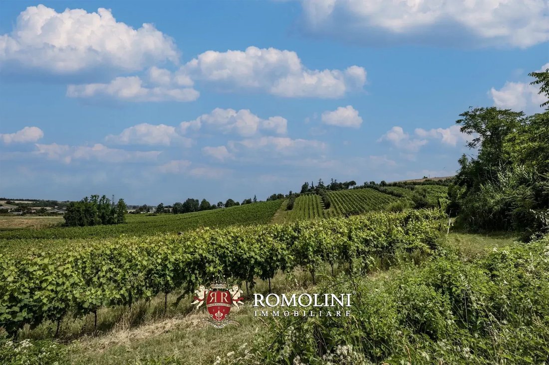 Farm Ranch in Bertinoro, Emilia-Romagna, Italy 1 - 15976637