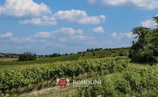 Farm Ranch in Bertinoro, Emilia-Romagna, Italien 1