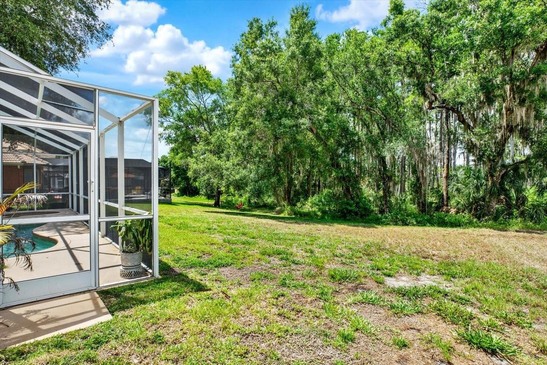 House in New Port Richey, Florida, United States 5 - 18292137