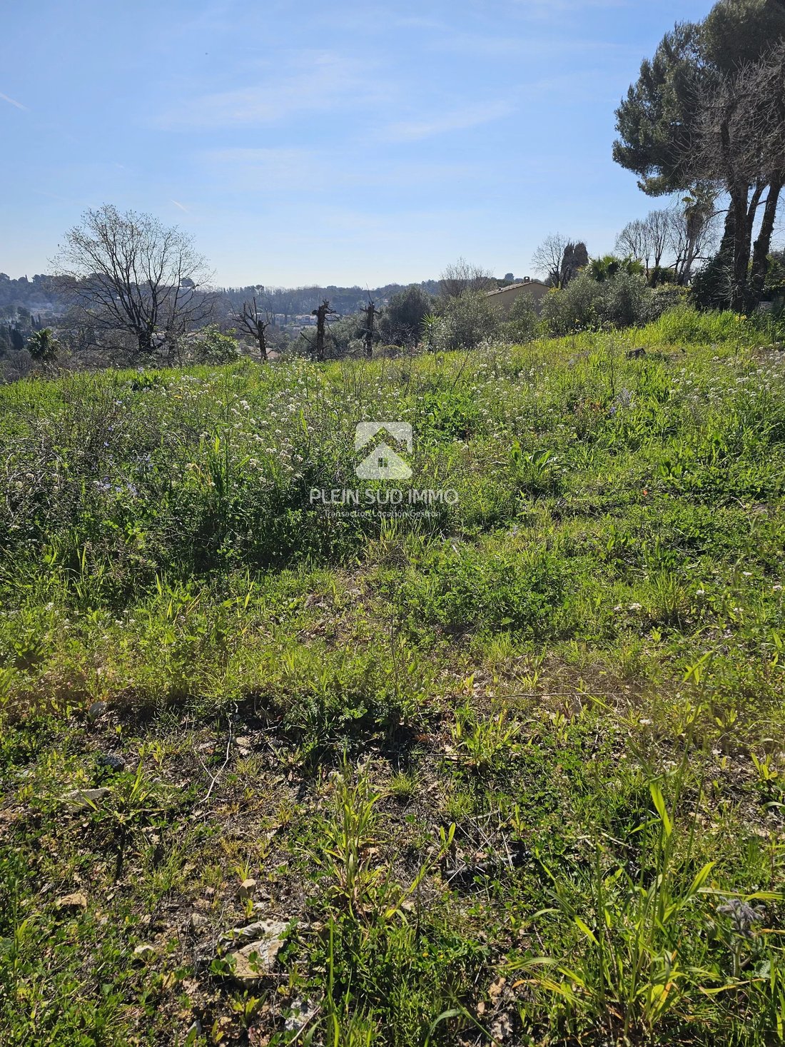 Land in Valbonne, Provence-Alpes-Côte d'Azur, France 1 - 18292471