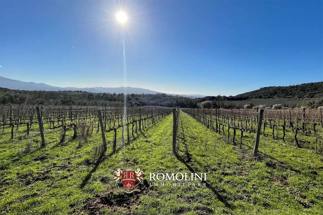 Farm Ranch in Montalcino, Tuscany, Italy 1 - 15663409
