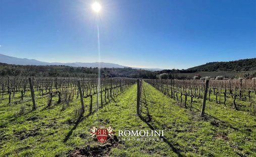 Farm Ranch in Montalcino, Tuscany, Italy 1