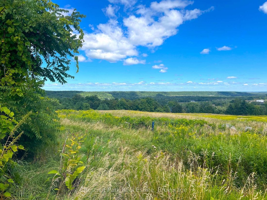 Land in Mansfield, Ontario, Canada 4 - 18070636