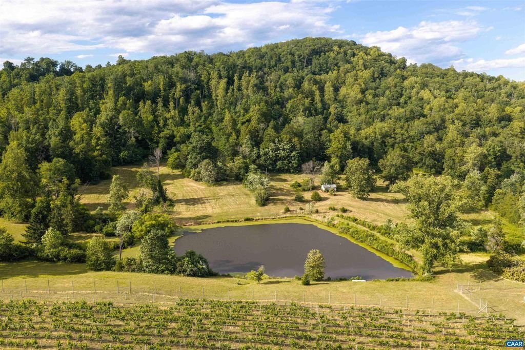 House in North Garden, Virginia, United States 4 - 18293298