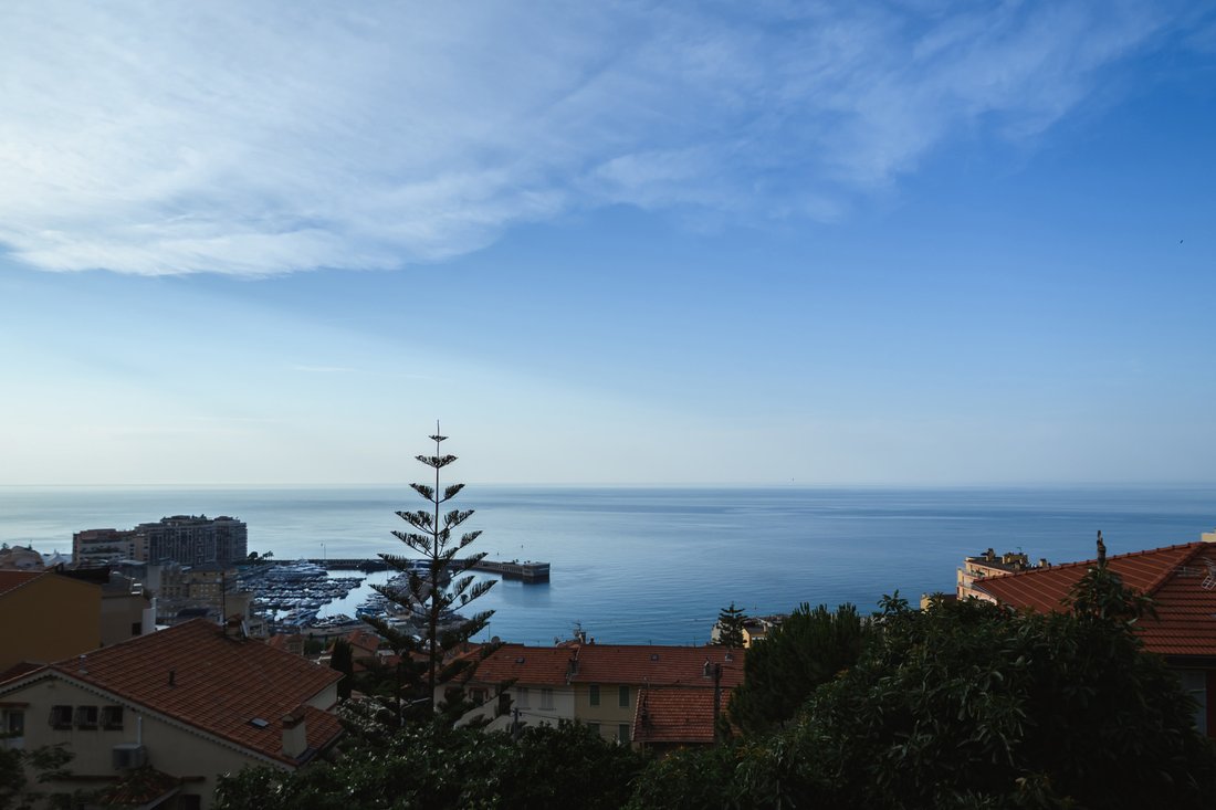 House in Cap-d'Ail, Provence-Alpes-Côte d'Azur, France 3 - 18282874