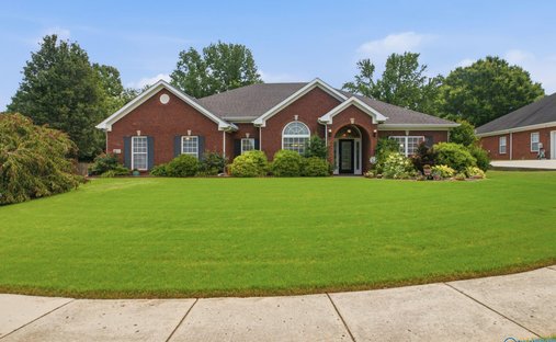 House in Madison, Alabama, United States 1