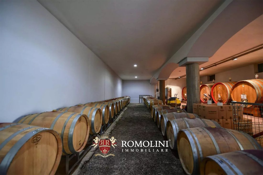 Farm Ranch in Barolo, Piedmont, Piedmont, Italy 5 - 16249472