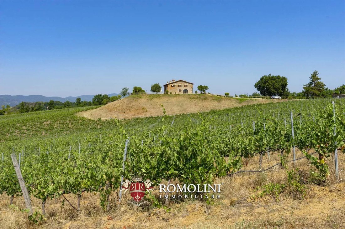 Farm Ranch in Pestello-Ginestra, Montevarchi, Tuscany 4 - 15663396