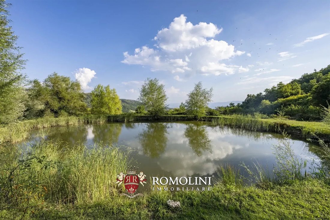 Estate in Borgo a Cascia, Reggello, Tuscany 2 - 17389260