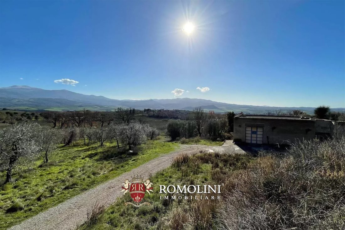 Farm Ranch in Montalcino, Tuscany, Italy 5 - 15663409