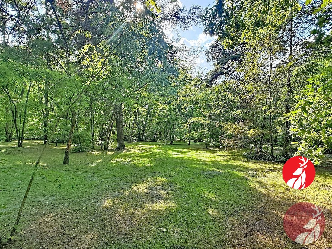 Land in Noisy-sur-Ecole, Ile-de-France, France 1 - 18293888