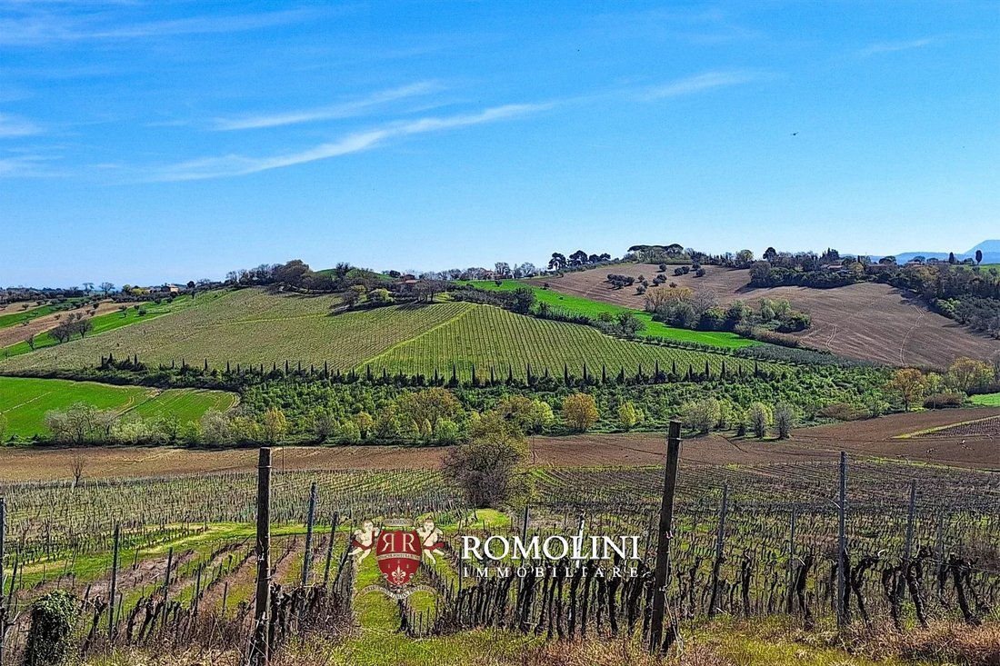Farm Ranch in Morro d'Alba, Marche, Italy 1 - 18283130
