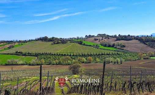 Farm Ranch in Morro d'Alba, Marken, Italien 1