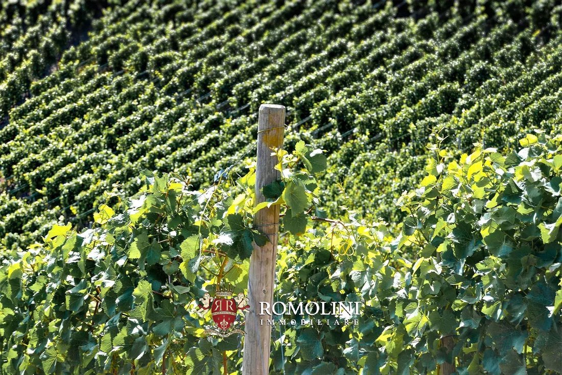 Farm Ranch in Modigliana, Emilia-Romagna, Italy 5 - 15663189