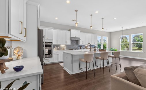 House in Hardeeville, South Carolina, United States 1