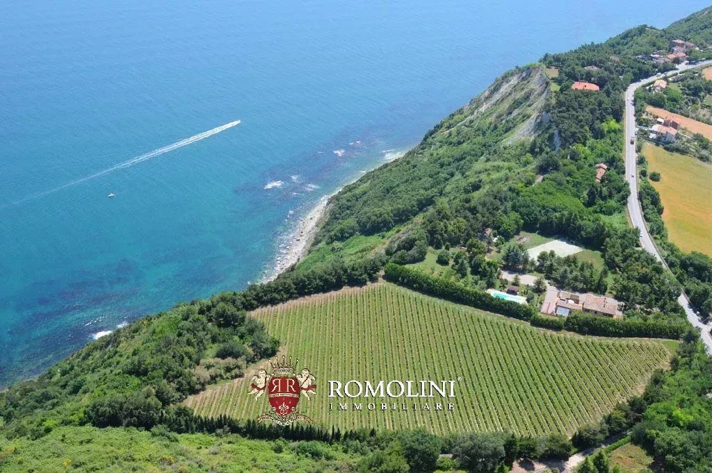 Farm Ranch in Pietralacroce, Ancona, Italy 5 - 15663539