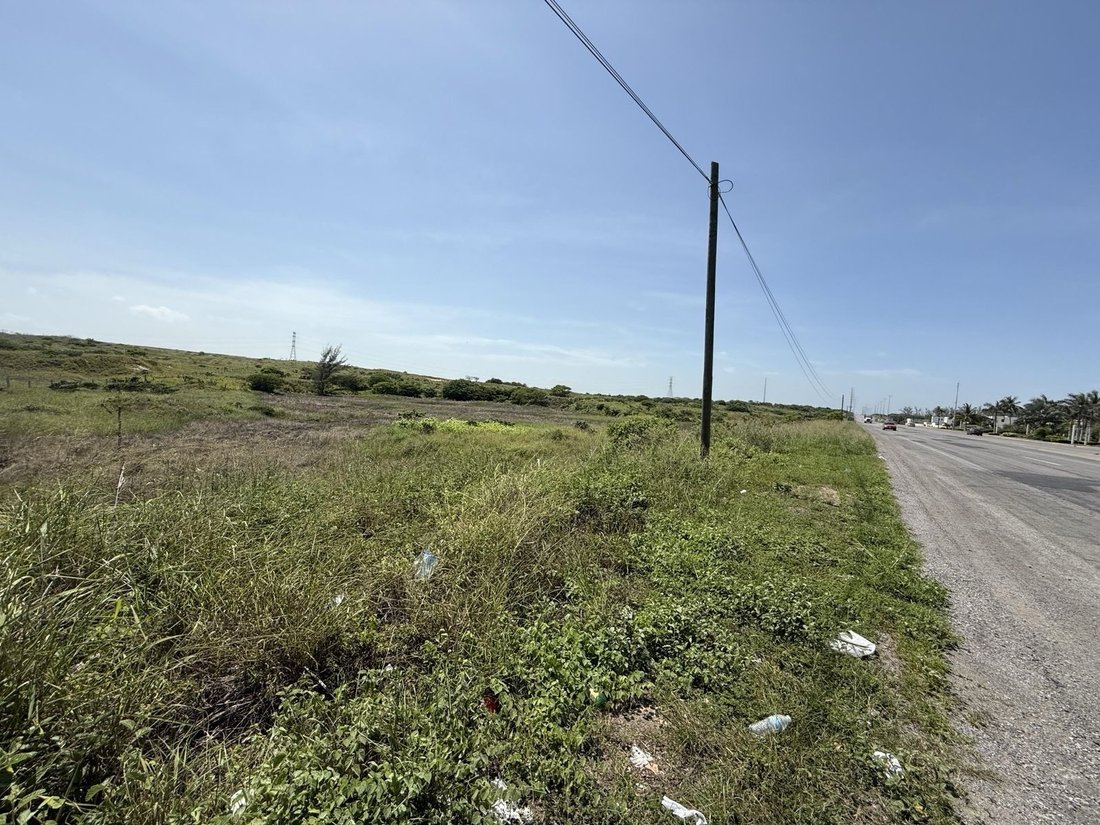 Land in Altamira, Tamaulipas, Mexico 4 - 18295660