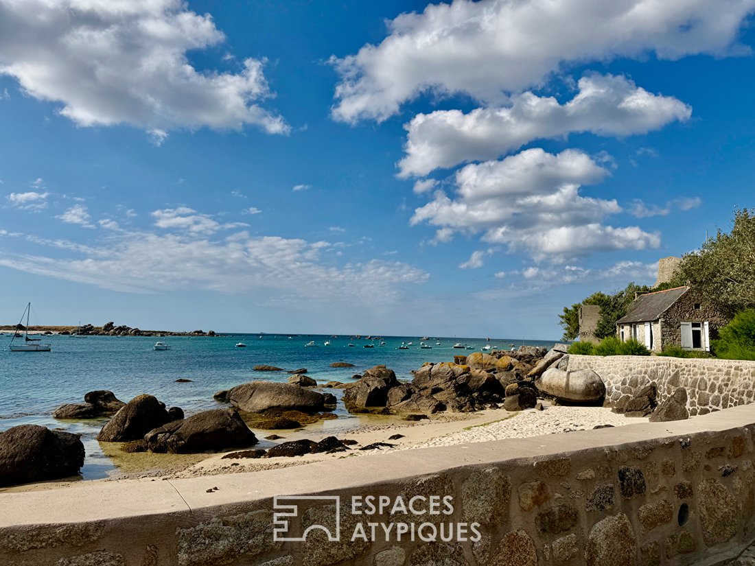 Villa in Brignogan-Plages, Plouneour-Brignogan-plages, France 2 - 17731187