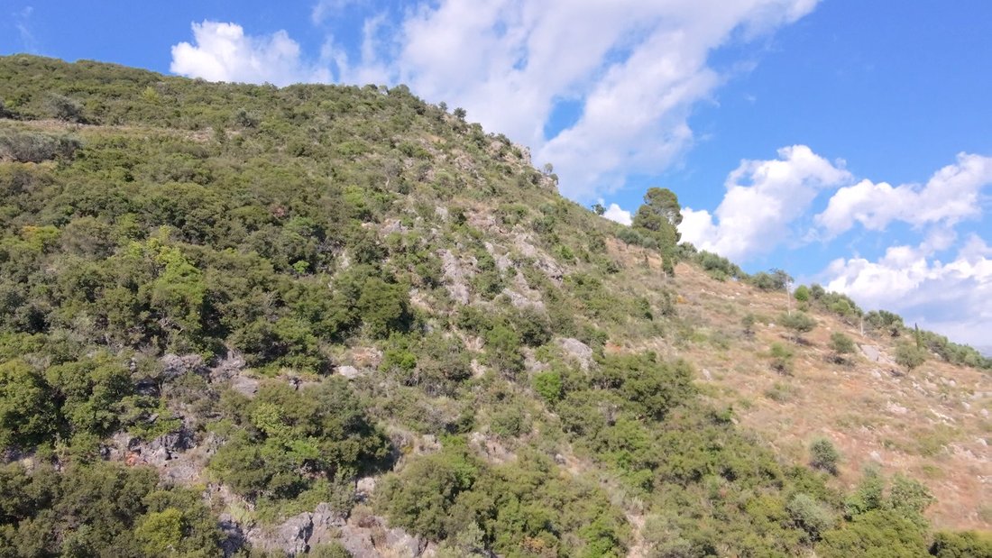 Land in Avia, Peloponnese, Western Greece and the Ionian, Greece 3 - 18294651