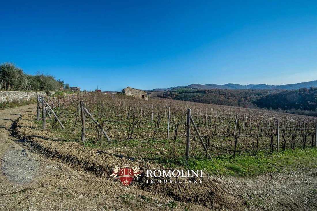Farm Ranch in Gaiole in Chianti, Tuscany, Italy 5 - 15663329