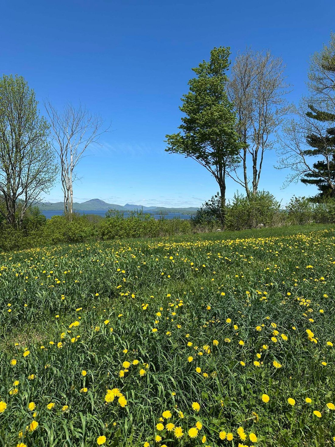 Land in Derby, Vermont, United States 2 - 17967774