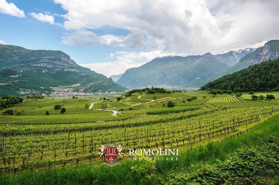 Farm Ranch in South Center, Rovereto, Trentino – Alto Adige/Südtirol 2 - 15663438