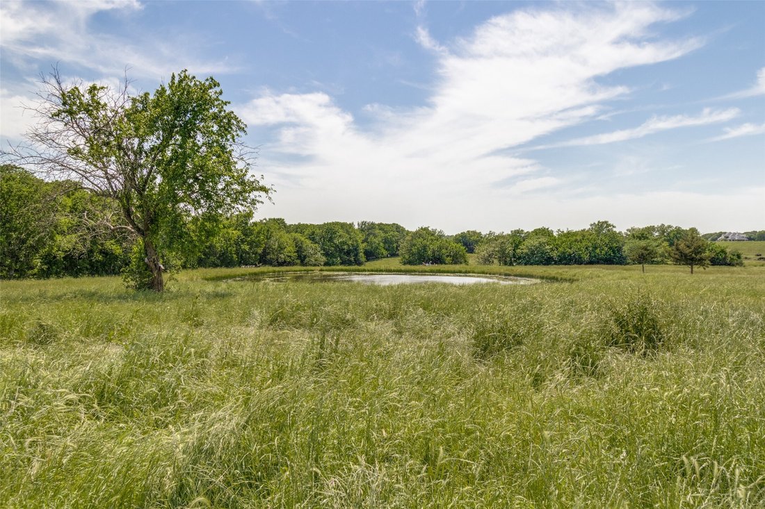 Land in Blue Ridge, Texas, United States 1 - 18281330