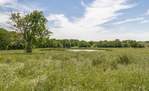 Land in Blue Ridge, Texas, United States 1