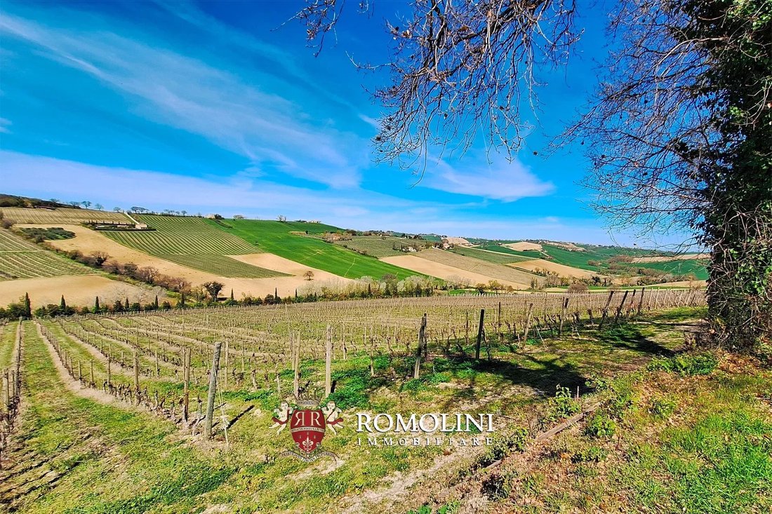 Farm Ranch in Morro d'Alba, Marche, Italy 3 - 18283130