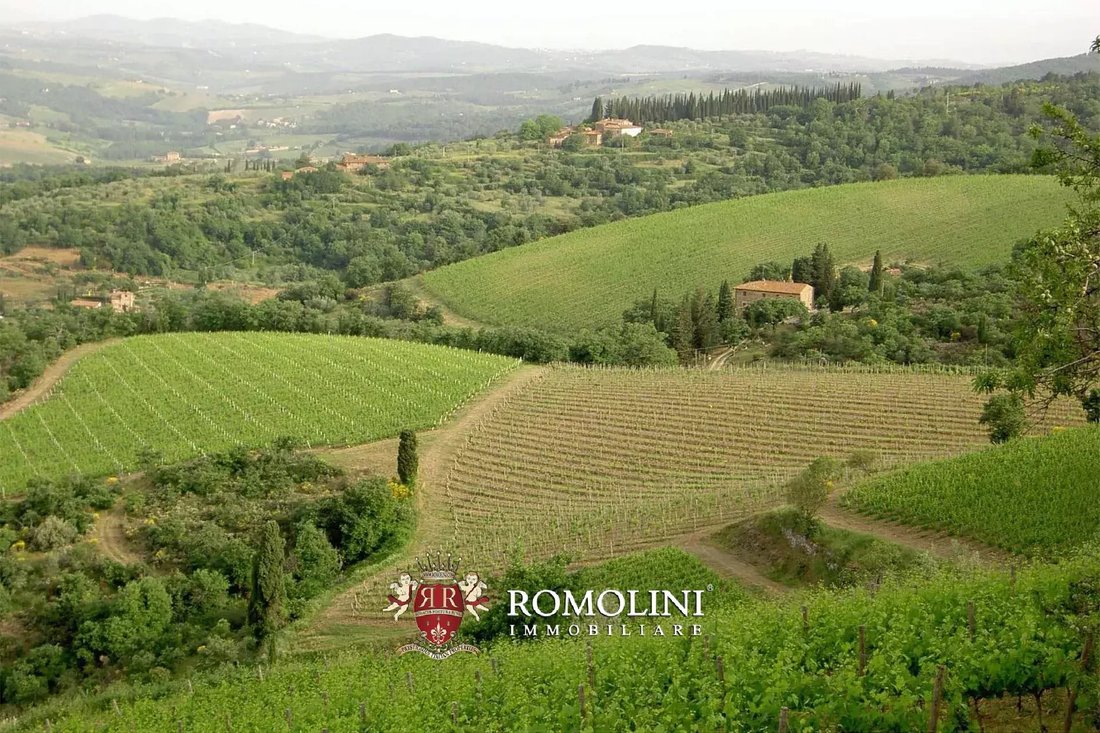 Estate in Center, Greve in Chianti, Tuscany 1 - 17381763
