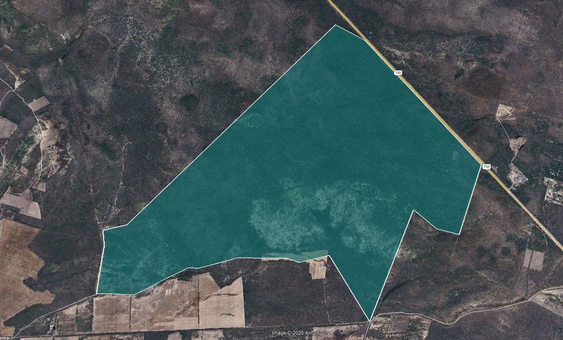 Land in Diego Ruiz, San Luis Potosi, Mexico 1 - 18286166