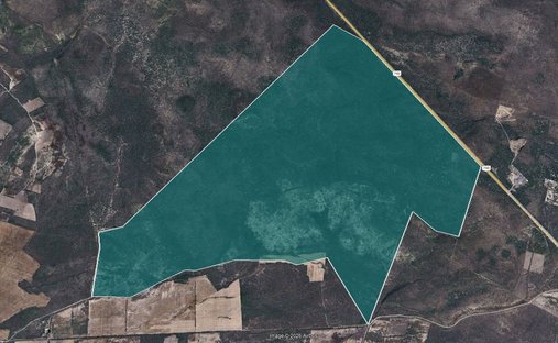 Land in Diego Ruiz, San Luis Potosi, Mexico 1