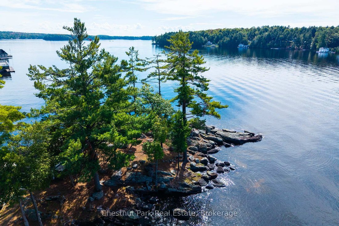 House in Port Carling, Ontario, Canada 4 - 18294061