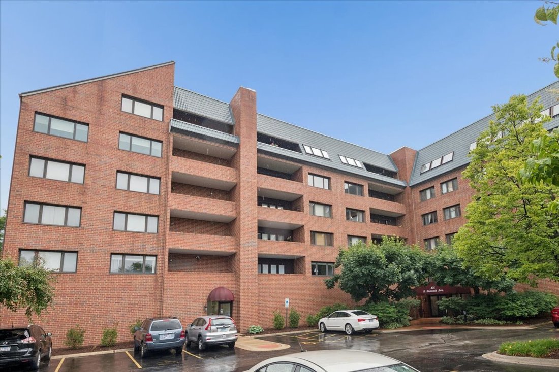 Condo in Park Ridge, Illinois, United States 1 - 18291906