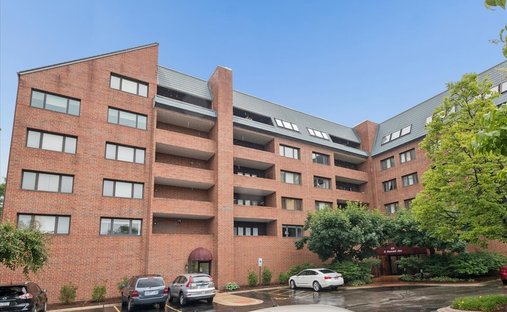 Condo in Park Ridge, Illinois, United States 1